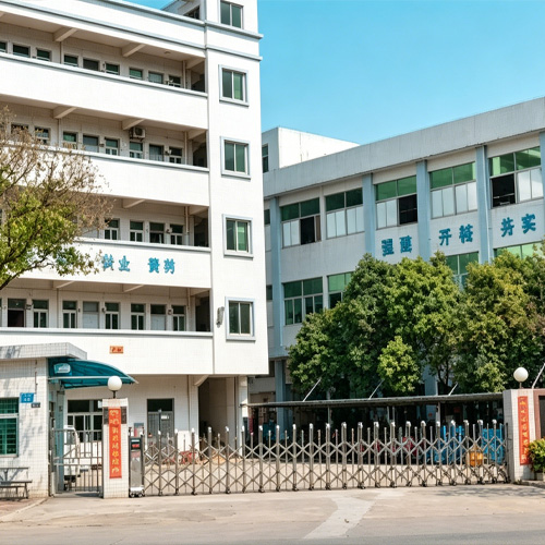 Company profile
